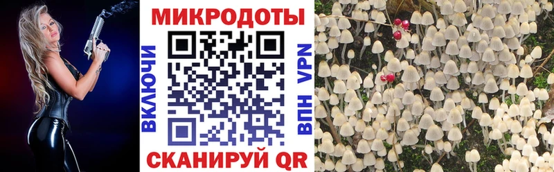 Галлюциногенные грибы GOLDEN TEACHER  Светлоград 